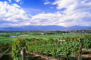 East Kelowna Wine Tour from Vernon