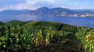 | Kelowna Wine, Boat & Canyon Tours | Cheers! Okanagan