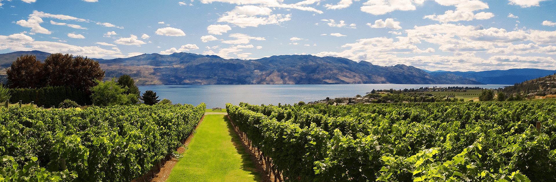 West Kelowna Wine Tour Cheers Okanagan Tours And Transportation