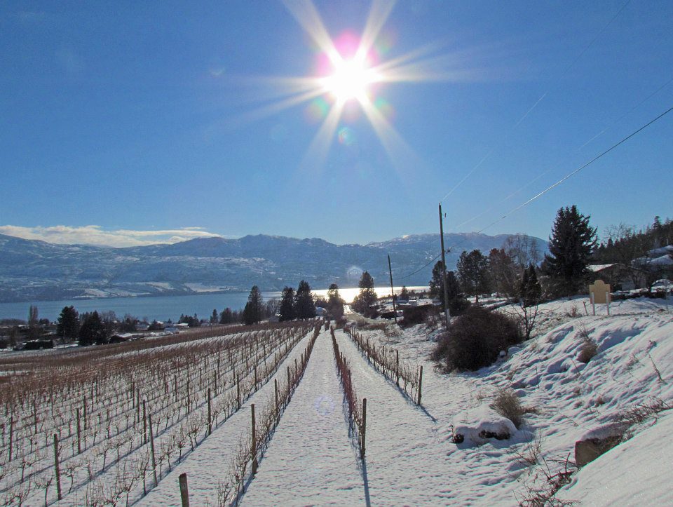 wine tours vernon bc