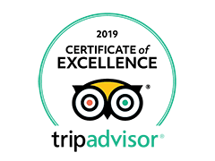 Trip Advisor Excellence Award